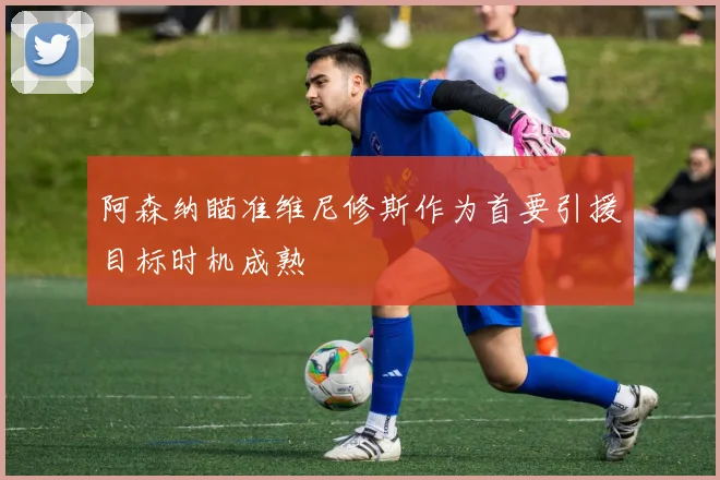 阿森纳瞄准维尼修斯作为首要引援目标时机成熟