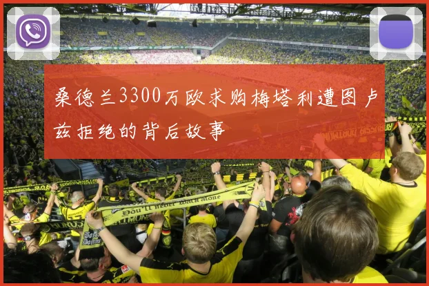 桑德兰3300万欧求购梅塔利遭图卢兹拒绝的背后故事